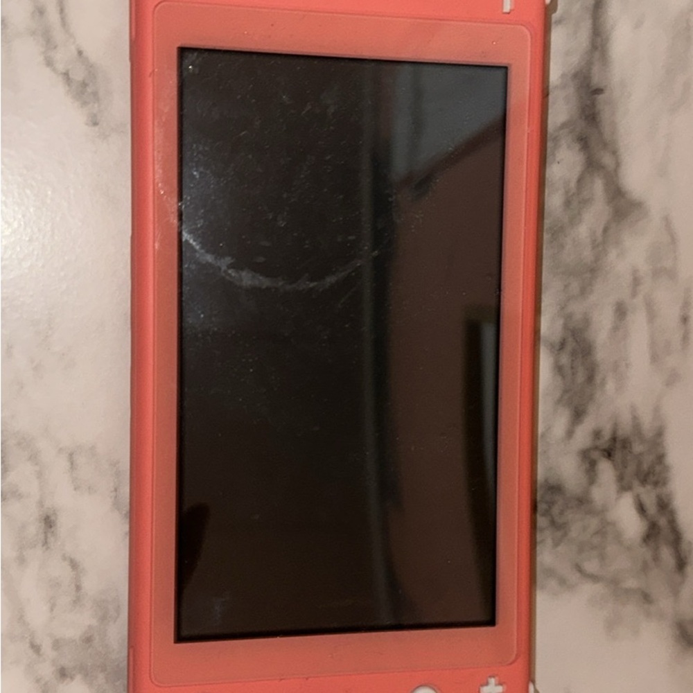 Nintendo Coral Handheld Gaming Device